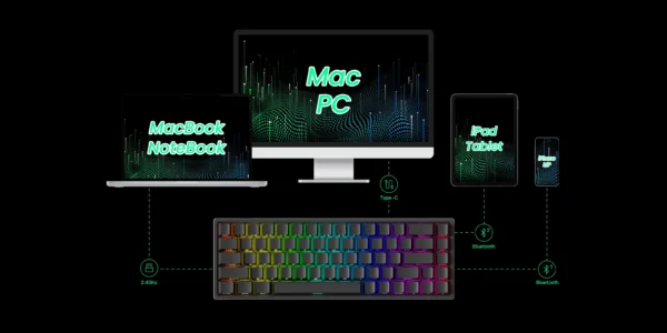 s4074fbc4ea1e461ead79294a6f5db110s-7590964-webp