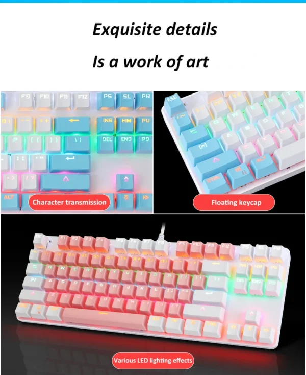 h65f6c1e9f6b94e8c8fab26302f0939d9o-3534675-webp