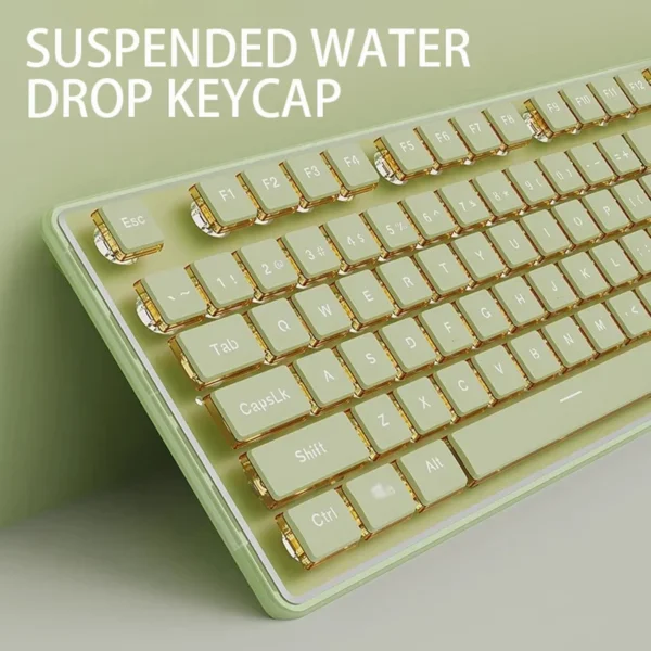 s15d3a5ca828f4e0cb79b8a0a5ce0b9cfd-8491402-webp