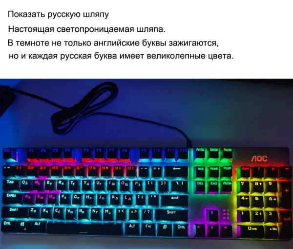 s3a44382fd17c4c6fb1a3254a2f94872dx-2330061-webp