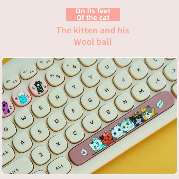 s5fb5f223a8ba40489586e5978d17a521k-4555010-webp