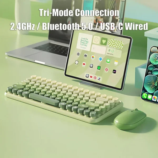 s99829d64f1634520836c7473cfe8a5d8k-6790557-webp