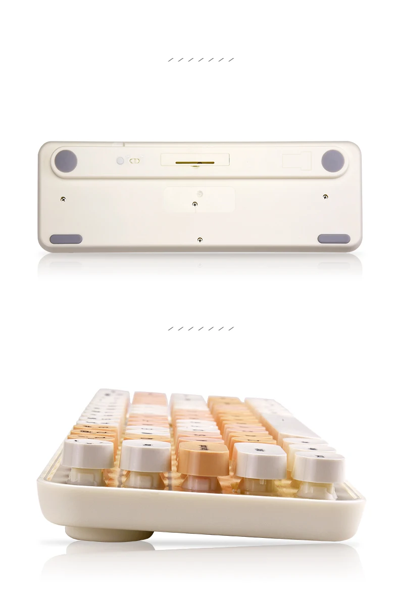 sd464185e55d148e49ffef5c79f299a3d2-4500577-webp